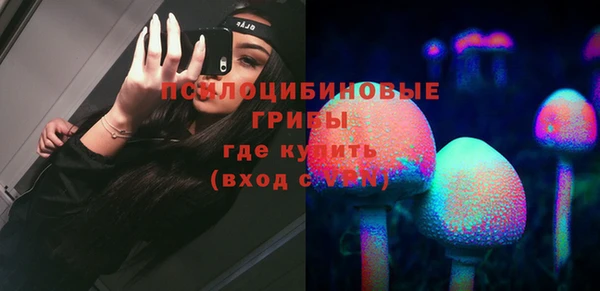 ешки Бородино