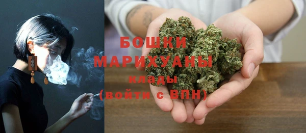 ешки Бородино