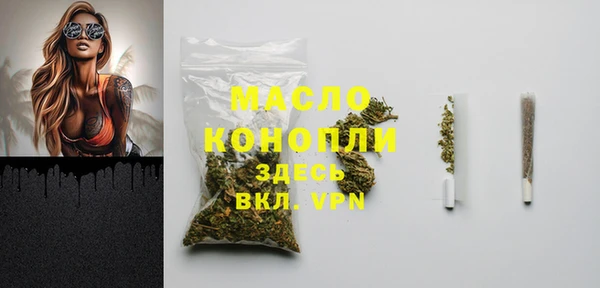 ешки Бородино