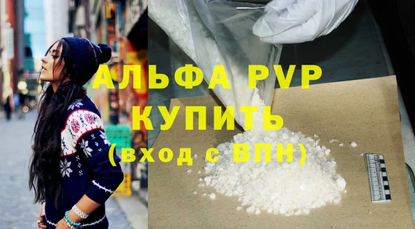 ешки Бородино