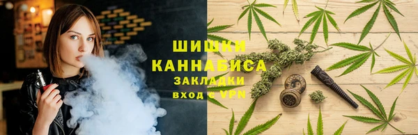 ешки Бородино