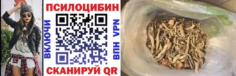 МЕГА tor  Медногорск  Галлюциногенные грибы Magic Shrooms  цены  