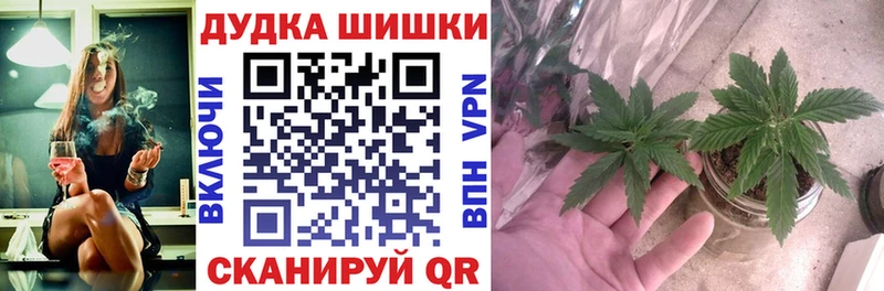 даркнет сайт Медногорск Конопля White Widow